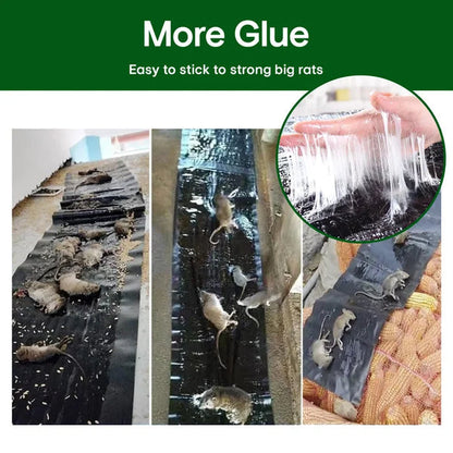 🪤 Muizenval – Hygiënisch & Effectief Ongedierte Bestrijden | Zonder Aanraken – Koop 1, Krijg 1 Gratis