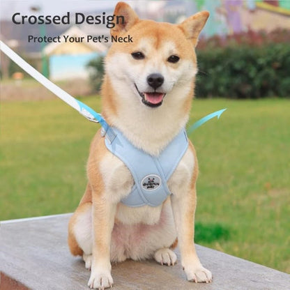 ❌🐕 50% KORTING! Het X-frame vormt een onzichtbaar schild rond de borstkas van je kleine hond. Geen druk op de keel, geen paniekerig gehijg, en ontsnappen? Kansloos. Eindelijk een tuigje dat je hond beschermt tegen zichzelf!